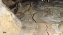 Cova-avenc de la Troneda - Miniatura 4, Begues