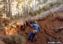 Forat de la Roqueta - Miniatura 7, Conca de Dalt