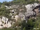 Coves de Santa Anna - 缩略图 1, Mediona