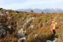 Graller del Portús - Thumbnail 5, Pont de Suert, El