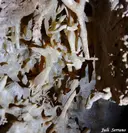 Cova de Geguins - 缩略图 8, Avellanes i Santa Linya, Les