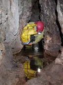 Cova de la Cabrota - Miniatura 9, Lladurs