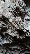 Avencó del Pont del Lledoner - Miniatura 4, Cervelló