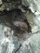 Cova Penjada del Barranc Fondo - Miniatura 4, Sant Jaume dels Domenys