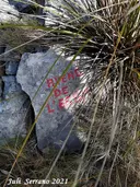 Avenc de l'Esbit - Miniatura 3, Sitges