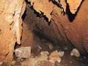 Avenc Roger - Miniatura 4, Ulldecona