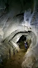 Cova de l'Estret del Bosc de Quer - Miniatur 5, Montagut i Oix