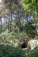 Cova de Tofaroques - Thumbnail 1, Llosses, Les