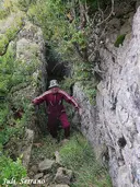 Graller Nº2 de la Pardina - Thumbnail 2, Àger