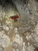 Graller d'Estrulls - Miniatura 7, Conca de Dalt