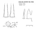 Cova de l'Estret del Forn - Miniatura 2, Queralbs