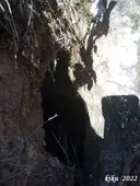 Forat Roig - Miniatura 3, Oliola