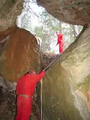 Forat Nº1 de Coll de Montfort - Miniatura 5, Arnes