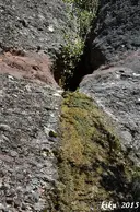 Forat del Sot de la Teula - Miniatura 2, Mura