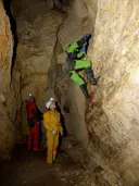 Cova Colomera - Miniatura 13, Sant Esteve de la Sarga