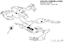 Cova de l'Aumidiella Gran - Miniatura 1, Benifallet