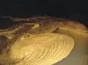 Font d'Andana - Miniatura 3, Vansa i Fórnols, La