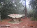 Cova del Gegant - Miniatura 8, Sant Julià de Vilatorta