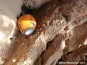 Cova Nº1 de les Collades - Miniatura 6, Conca de Dalt