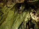 Cova de Roset - Miniatura 7, Saldes