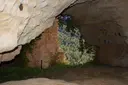 Balma de la Font del Begalot - Miniatura 3, Peramola