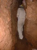 Cova dels Toixons - Miniatura 6, Matadepera
