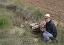 Avenc de Perers - Miniatura 1, Moià