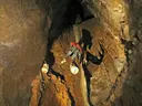 Grallera del Carabasser - Miniatura 3, Saldes