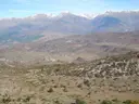Graller del Portús - Thumbnail 1, Pont de Suert, El