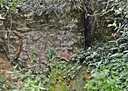 Font de les Febres - Miniatura 2, Granera