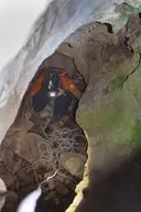la Campaneta - Miniatura 3, Toses