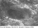 Cova del Bosquet - Miniatura 1, Mont-ral