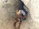 Cova de l'Espluga - Miniatura 8, Espluga de Francolí, L'