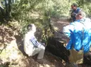 Avenc de la Falconera - Miniatura 2, Mura
