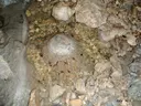 Avenc del Pla dels Albercoquers - Thumbnail 2, Vandellòs i l'Hospitalet de l'Infant