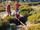 Avenc de la Barcina - Miniatura 2, Roquetes