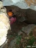 Graller Nº2 de la Pardina - Thumbnail 6, Àger