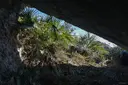 Cova de la Tortuga - Miniatura 3, Alcanar