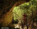 Balma de la Font del Bassi - Miniatura 4, Febró, La