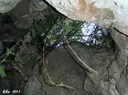 Avenc Bonic - Thumbnail 3, Cervelló