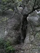 Cova dels Ermitans - Thumbnail 4, Caldes de Montbui