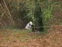 Avenc del Sot de la Bóta - Miniatura 1, Mura