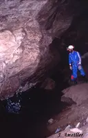 Cova Savarneda - Miniatura 1, Soriguera