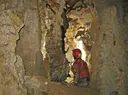 Grallera del Carabasser - Miniatura 4, Saldes