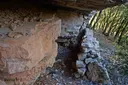 Balmes del Castell de Vilademàger - Miniatura 4, Llacuna, La