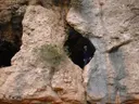 Ses Corts - Miniatura 3, Matadepera