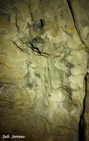 Cova de la Vila - Miniatura 7, Febró, La