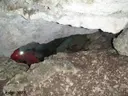 Avenc de la Llúdriga - Miniatura 1, Capafonts