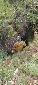 Grallera del Ras - Miniatura 2, Llimiana