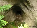 Cau Oest dels Cisternons - Thumbnail 3, Torroella de Montgrí